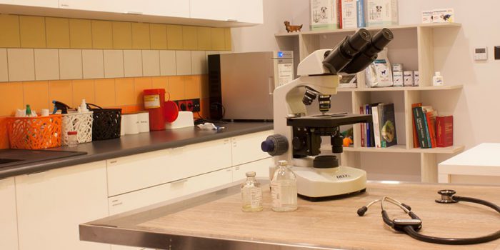 Badania laboratoryjne – cytologia
